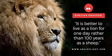 Famous African Proverbs About Life Love And Wisdom A Rai Of Light