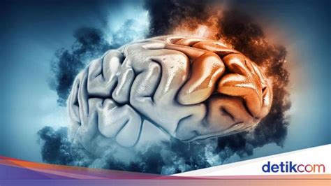 Ingatan Jangka Panjang Terbentuk Dengan Merusak Sel Otak Mengapa