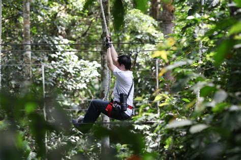 Skytrex Adventure Park Experience In Langkawi GetYourGuide