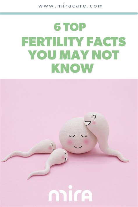 Top Fertility Facts You May Not Know In Fertility Boost Ways