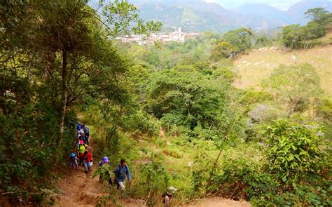 Caminata Ecol Gica El Pi Al Guayabal De S Quima Traves A Camino Antiguo