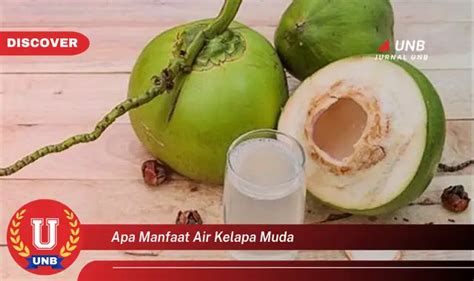 Intip Manfaat Air Kelapa Muda Yang Bikin Kamu Penasaran