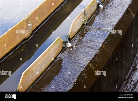effluent  res stock photography  images alamy