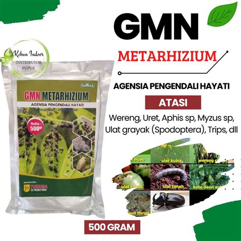 Jual Metarhizium Metarizium Anisopliae Gmn Metarhizium Pengendali