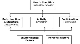 Measurement And Treatment Of Imbalance And Fall Risk In Multiple