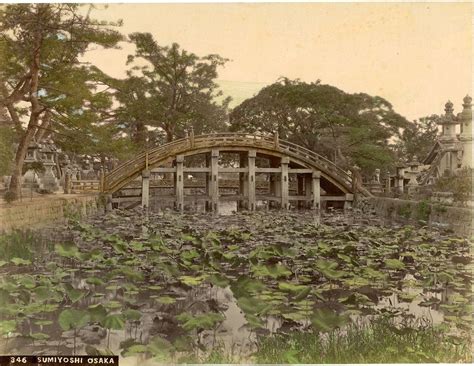 Япония в цвете. Часть 18: humus — LiveJournal