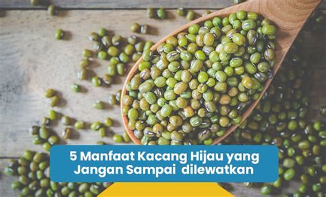 5 Manfaat Kacang Hijau Yang Jangan Sampai Dilewatkan