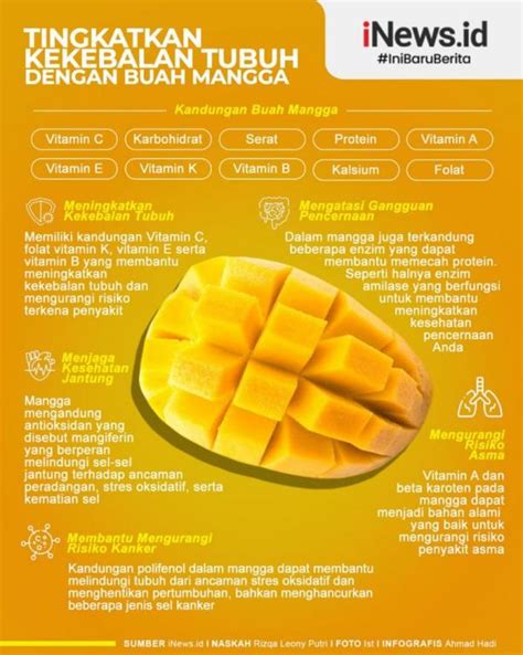 Baik Bagi Tubuh Ini 8 Manfaat Buah Mangga