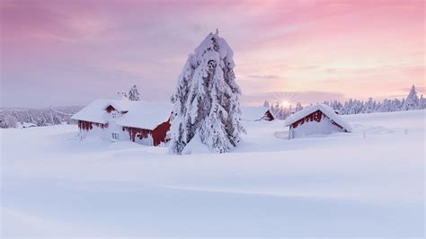 Bakrunner landskap snø vinter hus Arktis stå på ski fjell vær