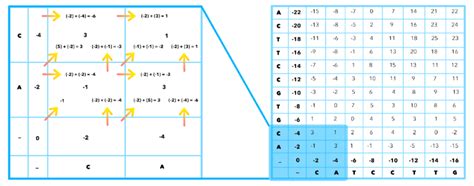 Global sequence alignment matrix filling | Download Scientific Diagram