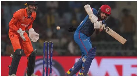 Hashmatullah Shahidi Dedicates Afghanistan Victory Over Netherlands To