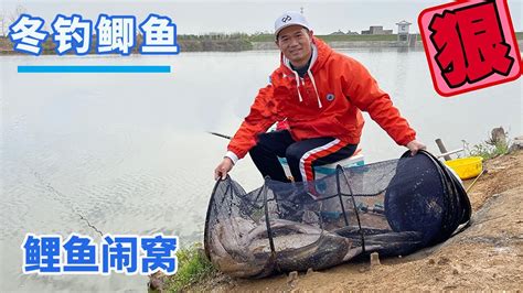 【鄧剛釣魚】穿上厚秋褲，就說明釣鯽魚的時候到了，看看有多大板板【天元鄧剛】 Youtube