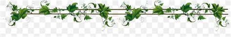 Vine Header Clip Art Png 1588x256px Vine Branch Grass Grass