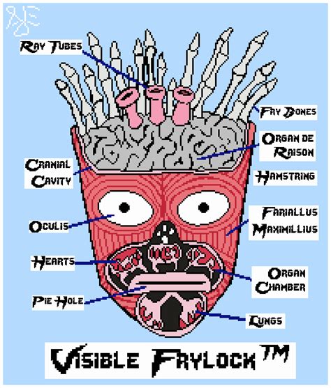 Visible Frylock™ By Thegordonae On Newgrounds