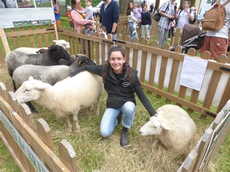 Lign Photos La F Te Du Mouton Reste Toujours En Forme Olympique