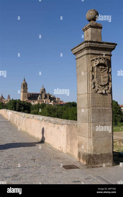 Catedral De Salamanca Desde El Puente Romano Stock Photo Alamy