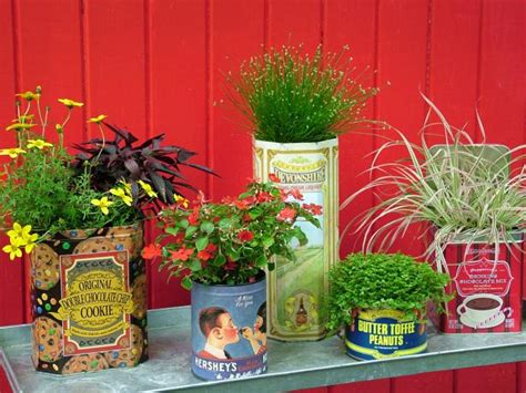 DIY Container Gardening Tips & Ideas | DIY