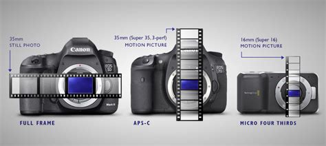 Full Frame vs Crop (APS-C) : Image Quality Difference For Sensor Size