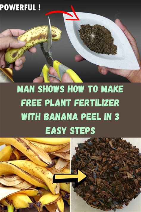 Man Shows How To Make Free Plant Fertilizer With Banana Peel In 3 Easy Steps Artofit