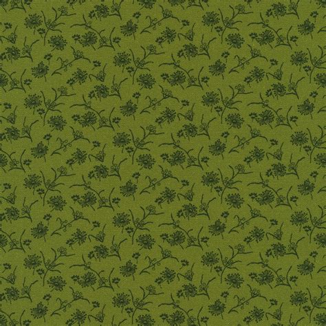 Robert Kaufman Fabrics Azud Green By Jill Shaulis From Meyer House