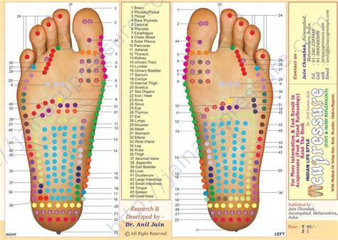 Acupressure Foot Diagram