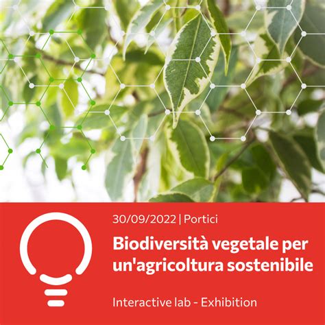 Biodiversit Vegetale Per Unagricoltura Sostenibile Streets