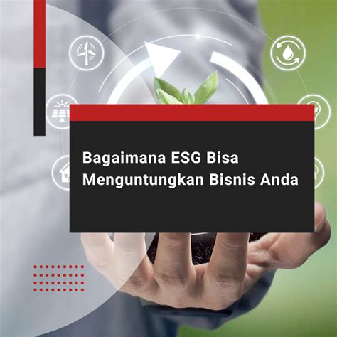 Bagaimana Esg Bisa Menguntungkan Bisnis Anda