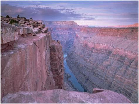 Millwood Pines Colorado River From Toroweap Overlook Grand Canyon