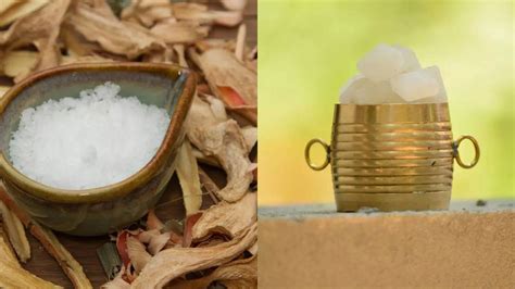 What Exactly Is Edible Camphor Uses Of Camphor And How Is It Made