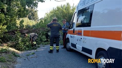 LAZIO Albero Crolla Su Un Auto In Transito Il Conducente Finisce In