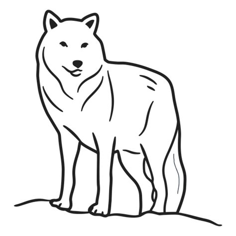 Design Png E Svg De Traço De Lobo Para Camisetas