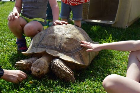 Animal Show at Ponds & Plants #turtletuesday #pondsandplants | Pond ...