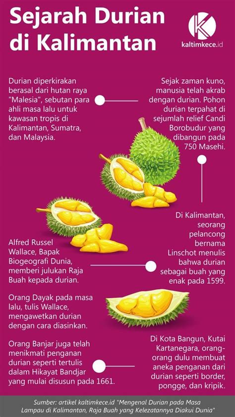 Mengenal Durian Pada Masa Lampau Di Kalimantan Raja Buah Yang