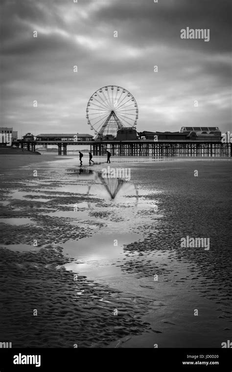 Ne Promenades Sur La Plage Banque D Images Noir Et Blanc Alamy