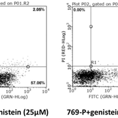 Genistein Promoted Cell Apoptosis Apoptosis Of P Cells Was