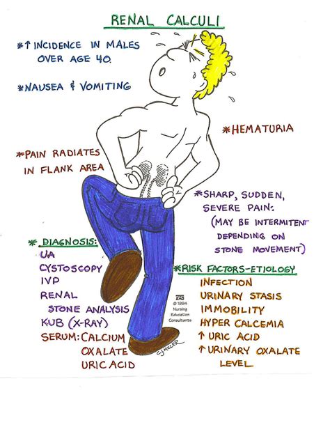Colic Renal Adalah