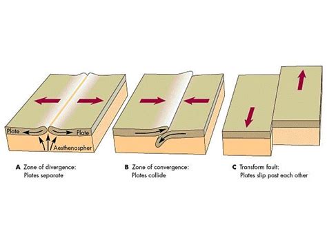 3 types of plate movement | Plate tectonics, Plate boundaries, Tectonic ...