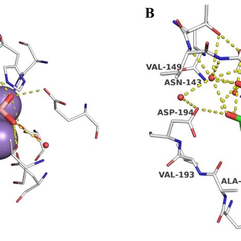 A Crystallographic Binding Mode Of Abhdp Green Carbon Atoms In Its Download Scientific