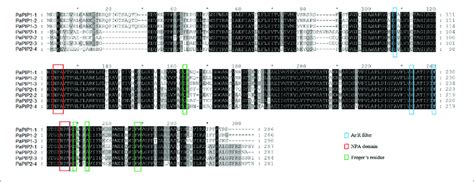| Multiple sequence alignment of the deduced amino acid sequences of ... 