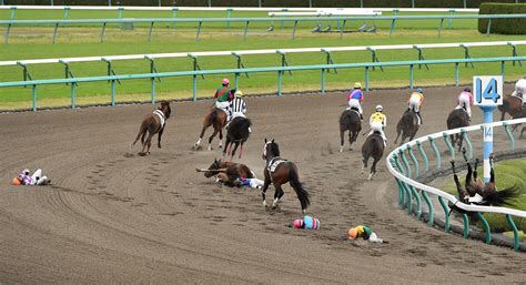 【閲覧注意】命がけ！競馬の落馬事故まとめ Hachibachi