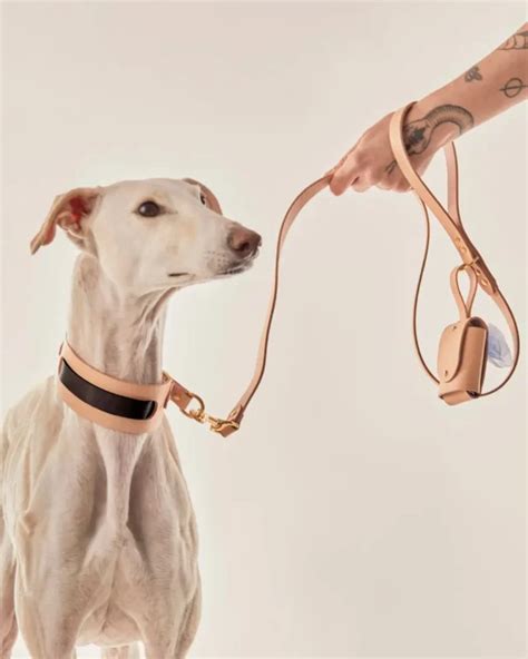 Indomito Kaulapanta Greyhound Nude Laatulemmikki Fi
