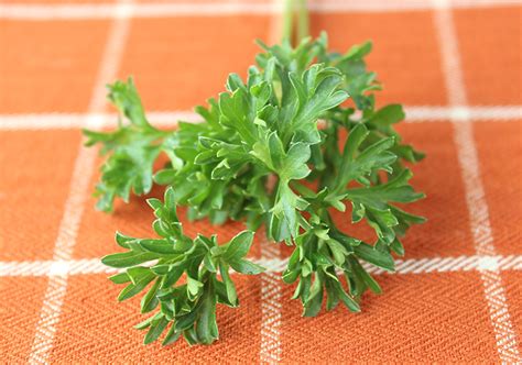 11 Things About Parsley Leaves, Named Herb of 2021