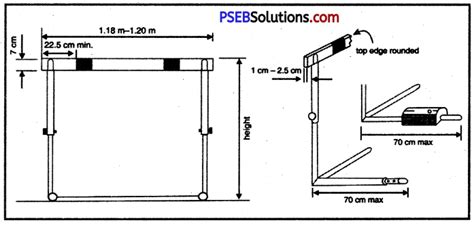 Pseb Th Class Physical Education Practical Athletics Pseb Solutions