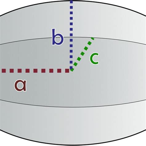 Semi Axis Used In The Volume Formula Of The Ellipsoid Download Scientific Diagram