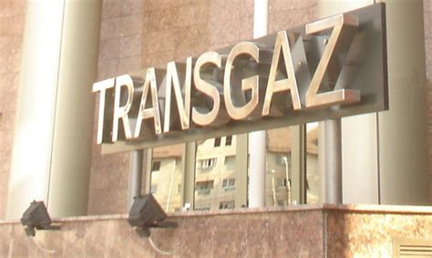 Din V Nzarea Transgaz Romgaz Plafar Romaero Sanevit S Ar Ncasa