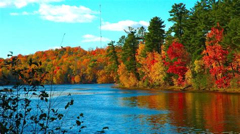 River Trees Autumn Scenery Hd Wallpaper Preview