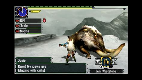 Arctic Ridge Accounting Monster Hunter Generations Guide Ign