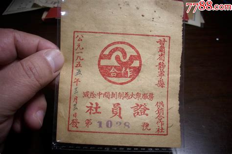 1955年 甘肃省静宁县供销合作社【社员证】带口号；减除中间剥削为大众服务！股票集资券图片鉴赏收藏价值7788怀表收藏