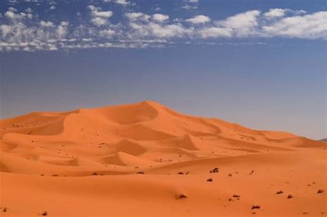 Rare deluge floods Sahara desert for first time in decades