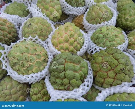 Group of Organic Sugar Apples in Foam Fruit Nets at a Fruit Market Stock Photo - Image of crop ...